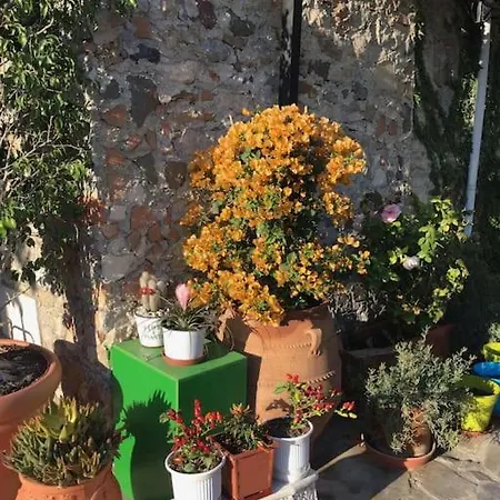 Feriehus Kos With Patio And Garden *