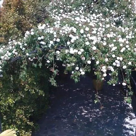 Kos With Patio And Garden
