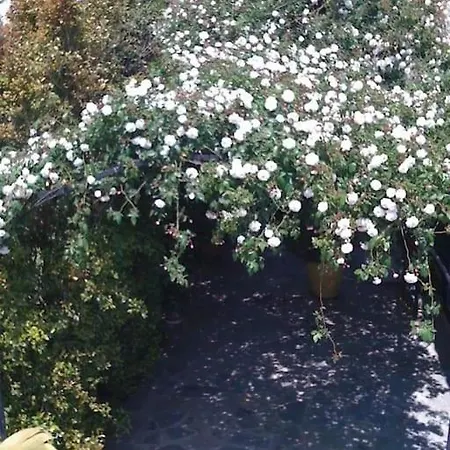 Kos With Patio And Garden