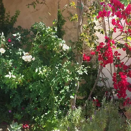 Holiday home Kos With Patio And Garden *